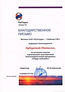 Благодарственное письмо за активное участие в реализации долгосрочной благотворительной программы "Парус надежды", 2013 год.
