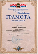Почетная грамота Министерства образования и науки Амурской области за высокое качество преподаваемого предмета, 2014 год.