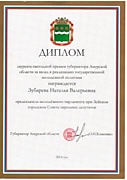 Диплом лауреата ежегодной премии губернатора Амурской области за вклад в реализацию государственной молодежной политики, 2014 год.